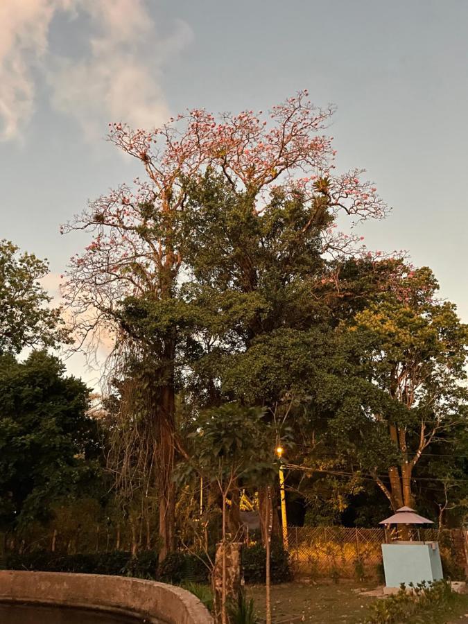 El Valle Resort & Spa - Aguas Termales El Valle de Anton ภายนอก รูปภาพ