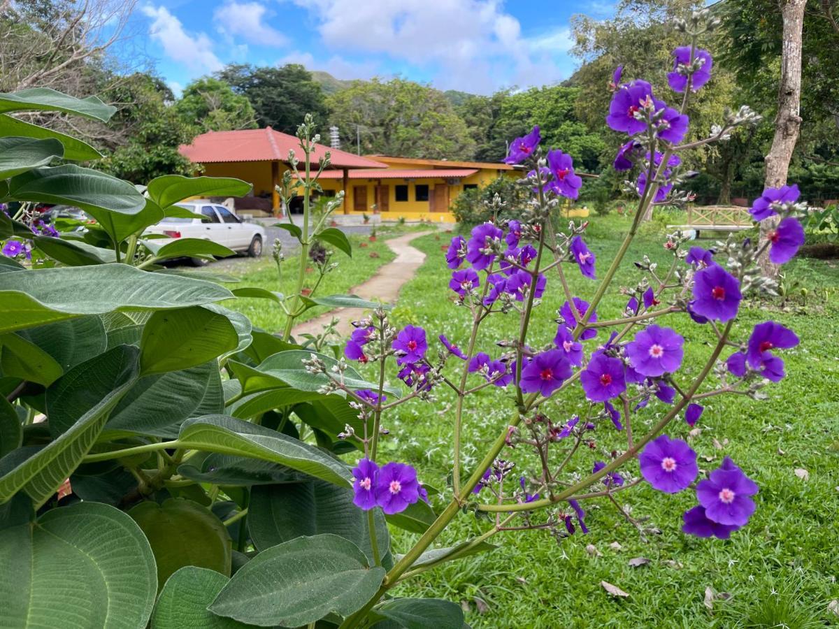 El Valle Resort & Spa - Aguas Termales El Valle de Anton ภายนอก รูปภาพ